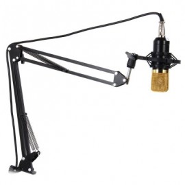 NB - 35 Extendable Microphone Arm Stand
